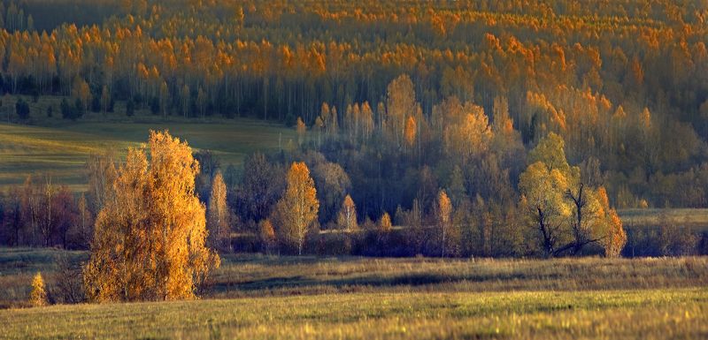 Осенний свет фото превью