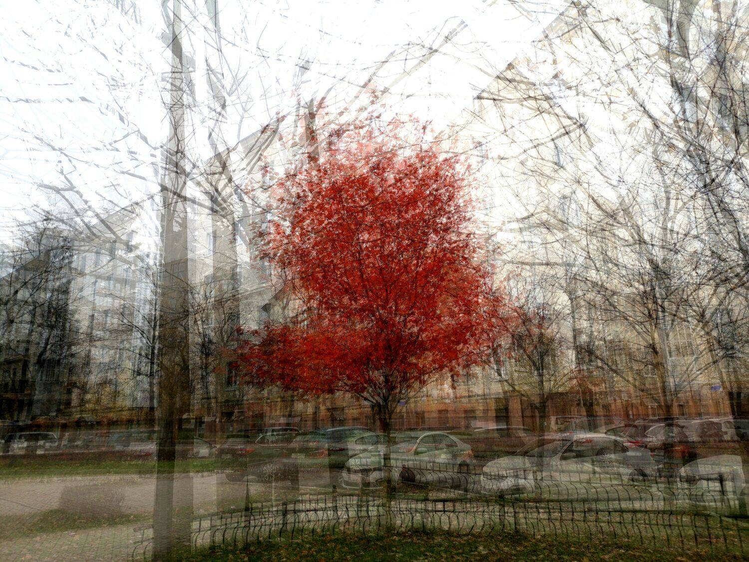 , Антон Лаба