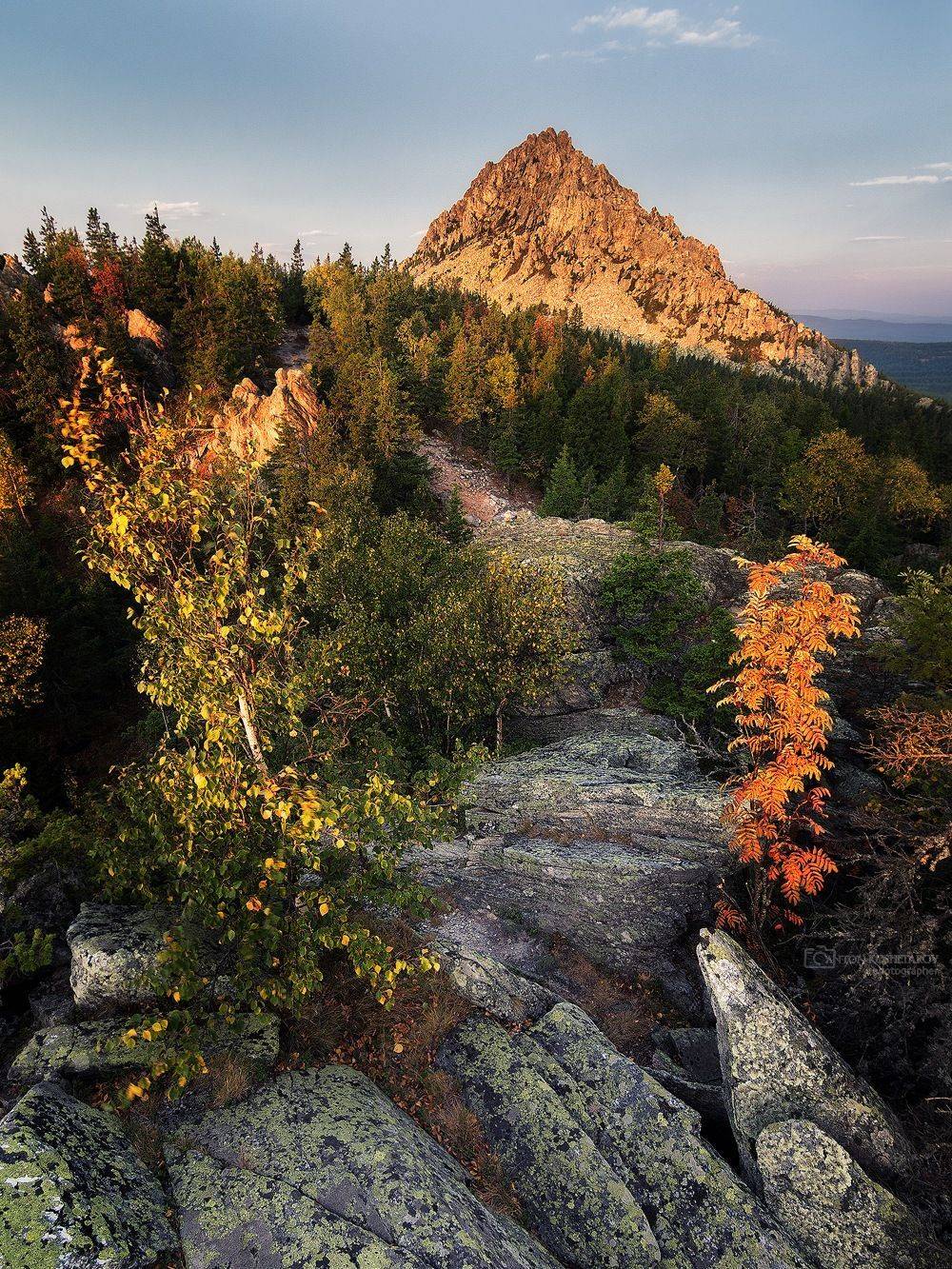 , Антон Кошетаров