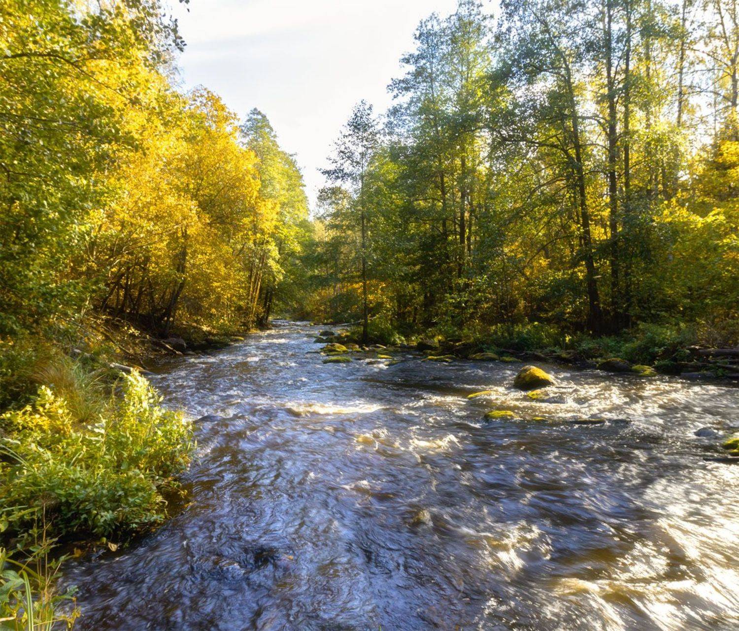 , Алексей Герасимов