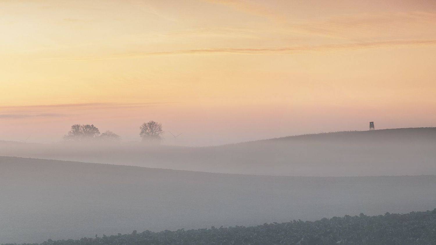 mist, morning, sunrise, field, trees, poland, green, red, sky, Lukasz Zugaj