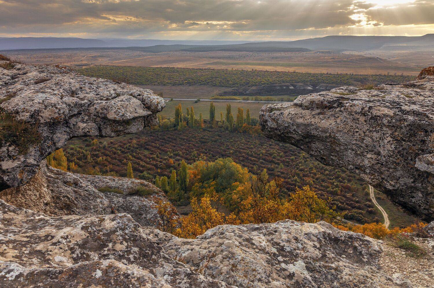 Крым, Елена Гусева