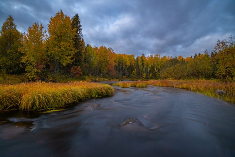 великий двор,вологодчина,кема,север *** фото превью