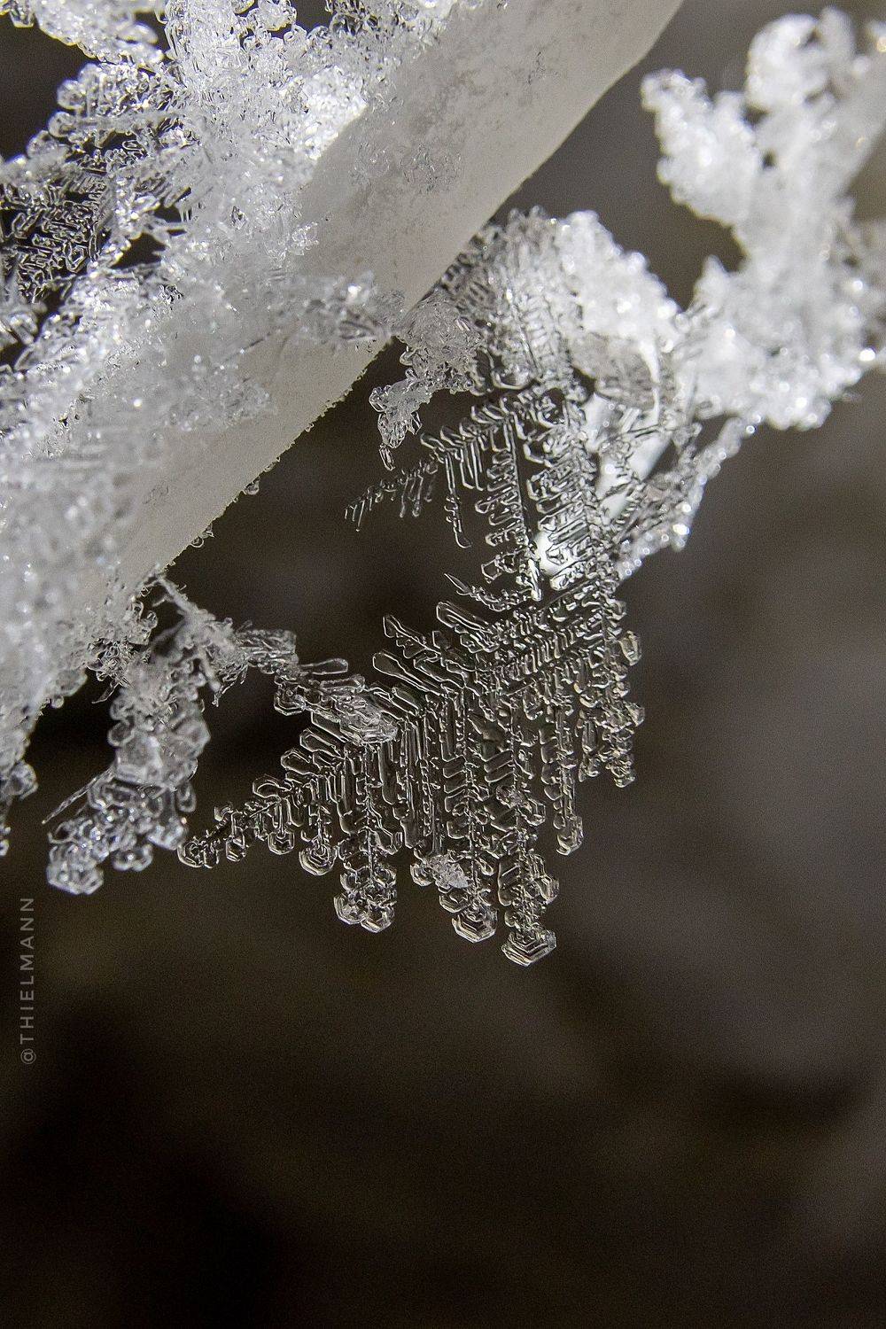 cave crystal ice rose macro speleo, Илья Тильман