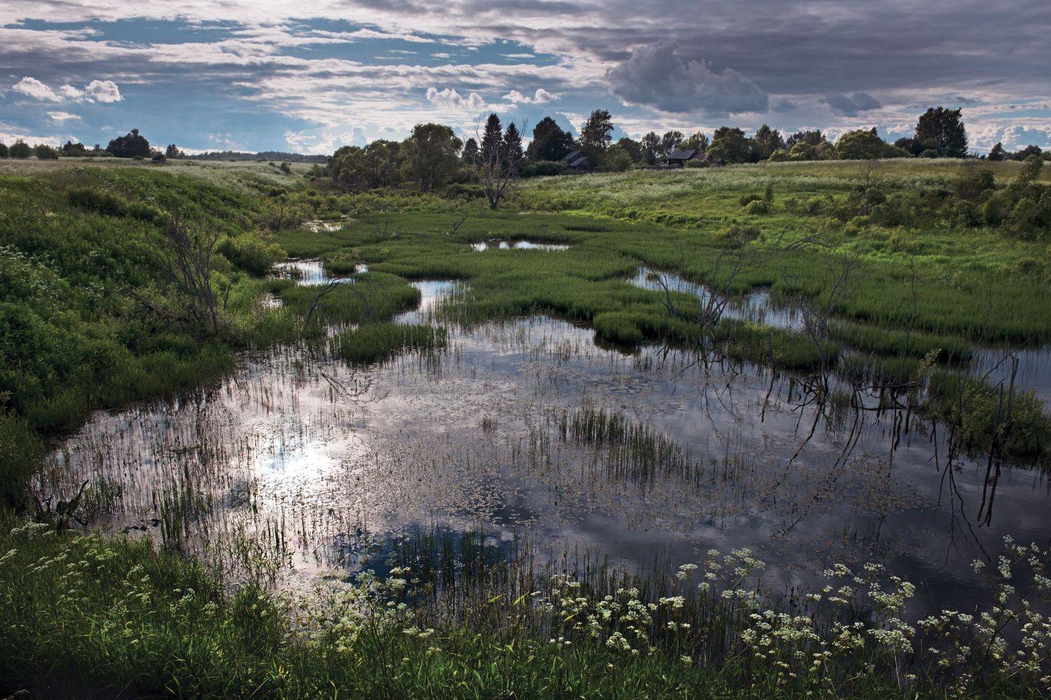 , Борис Леваков