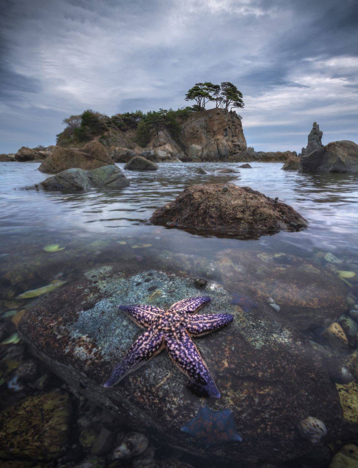 приморье, Андрей Грачев