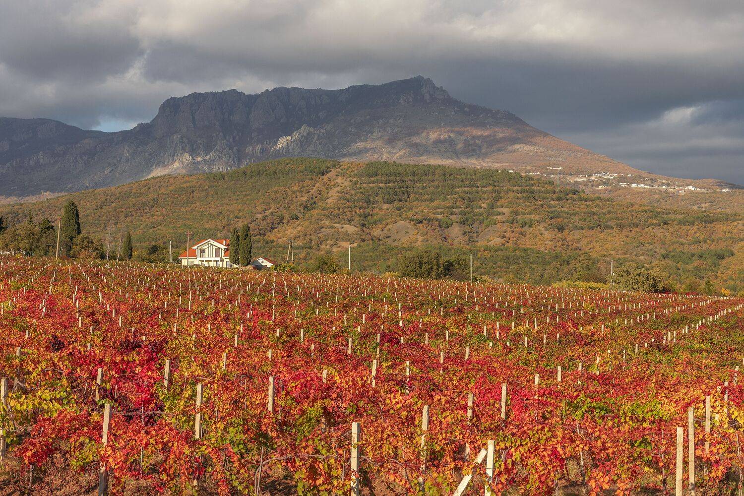 Крым, Елена Гусева