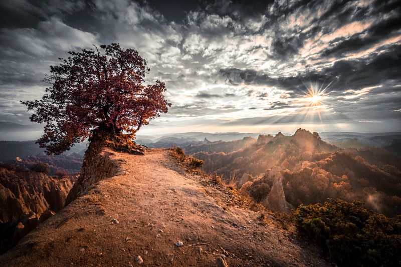 Say good bye to the sun фото превью