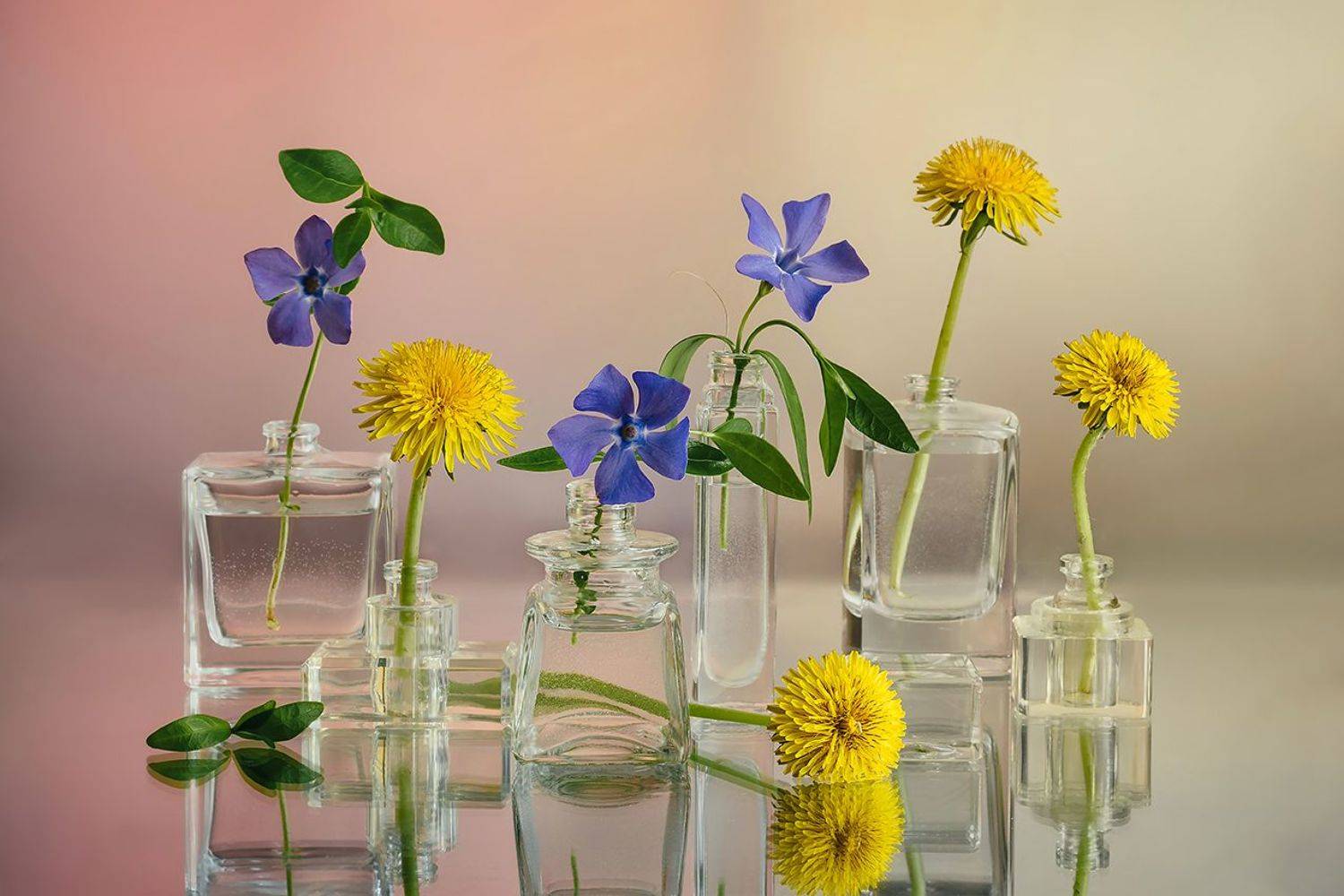 , MVO (Марк Орлов)