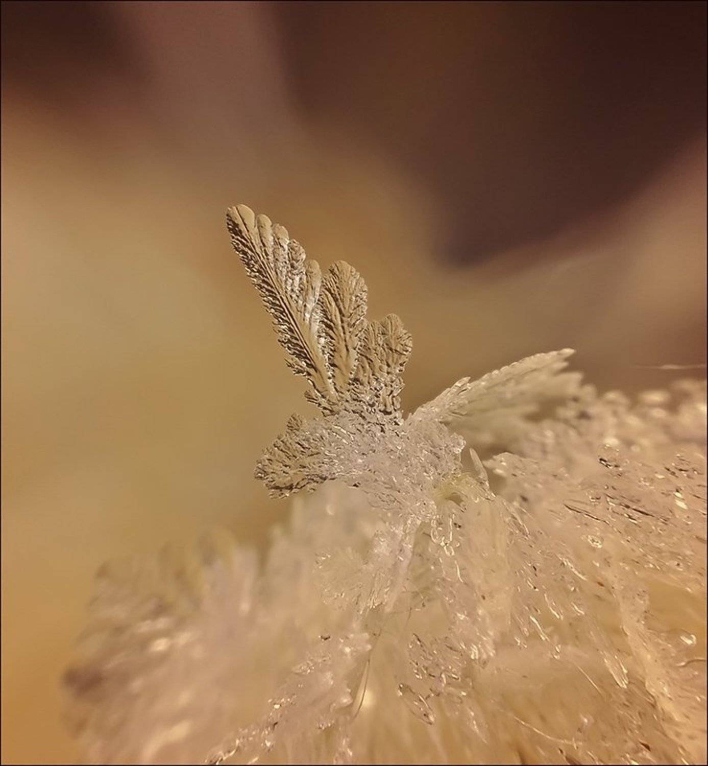 , Андрей Осокин