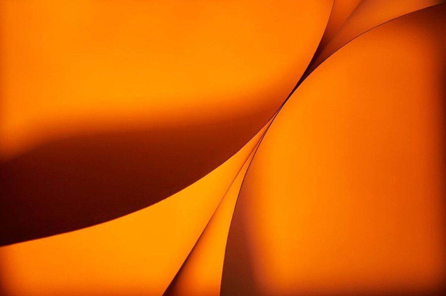 , Олег Белов