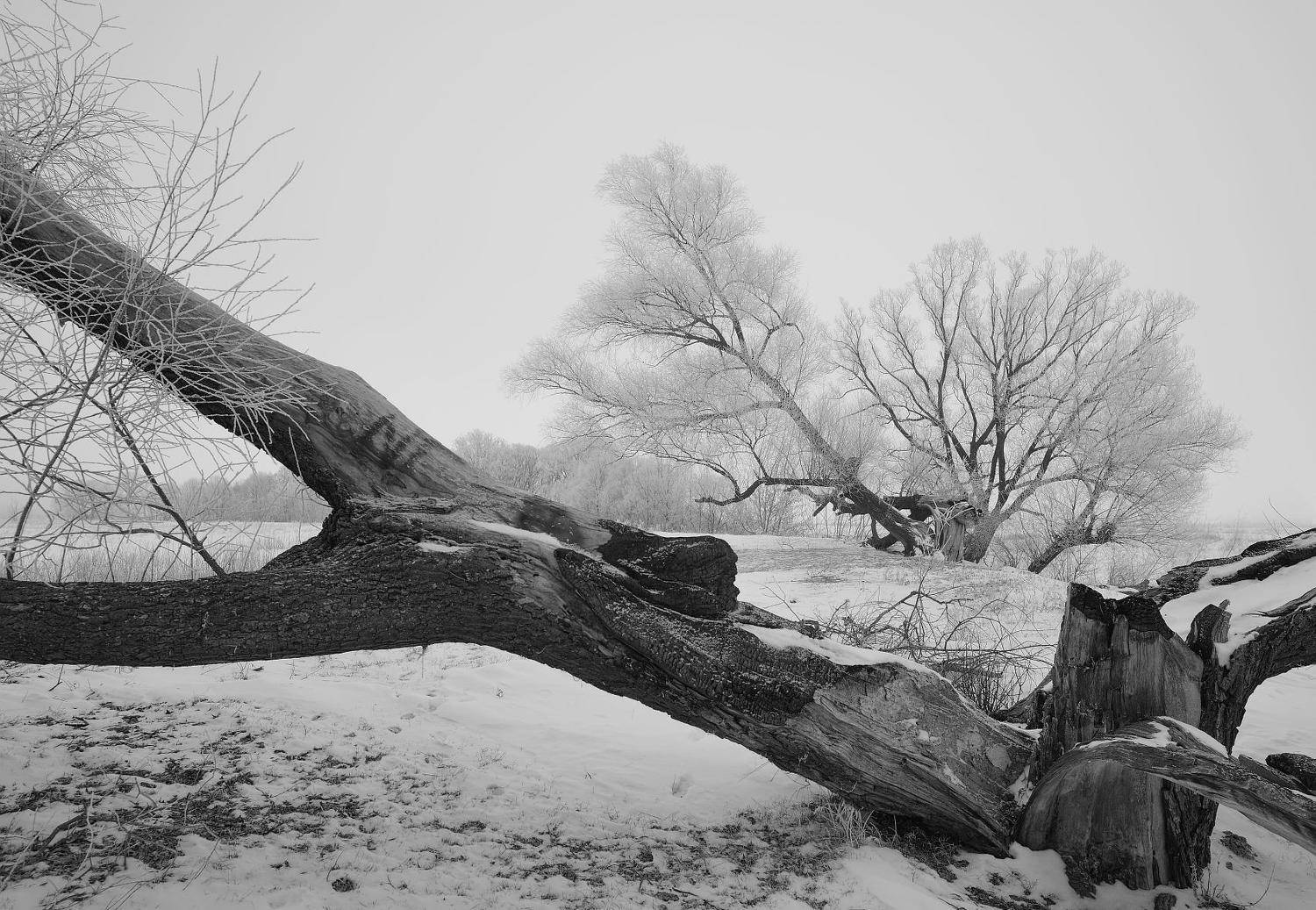 , Андрей Балабин