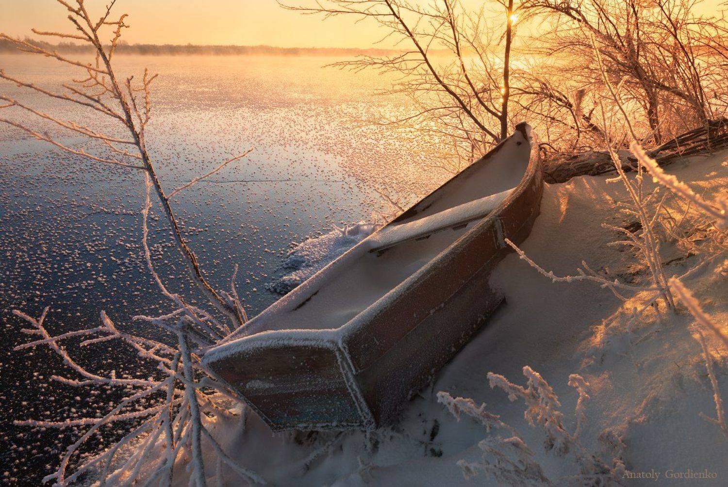 , Анатолий Гордиенко