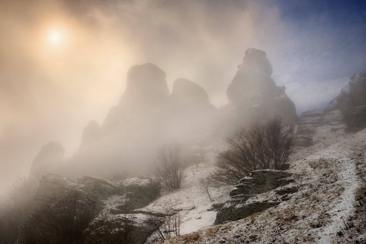 , Денис Сорокин