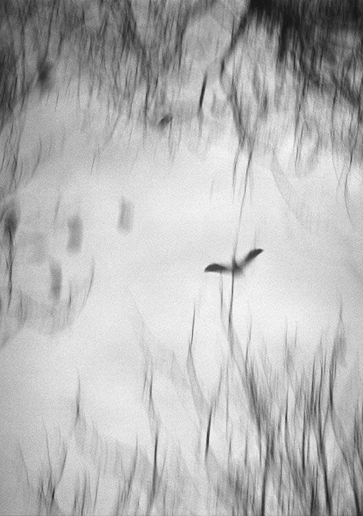 , Ефремов Андрей  not a gentleman