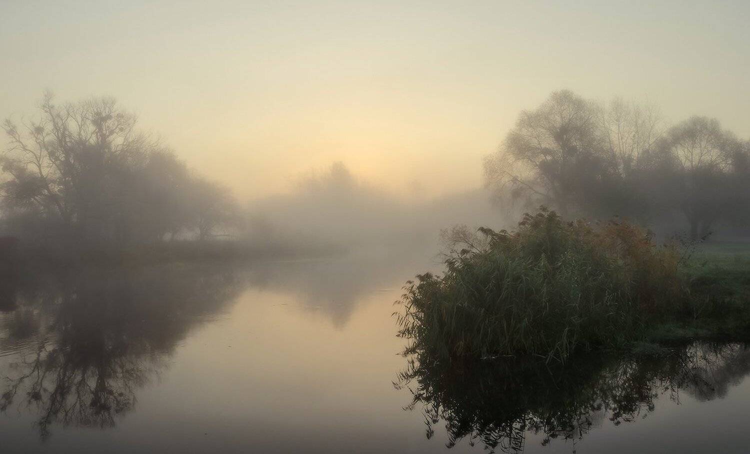 , Животков Андрей