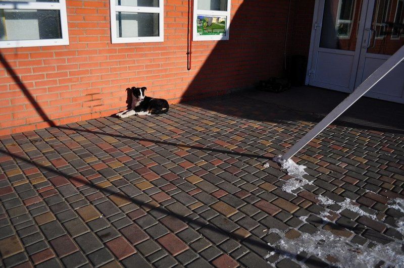 ... фото превью