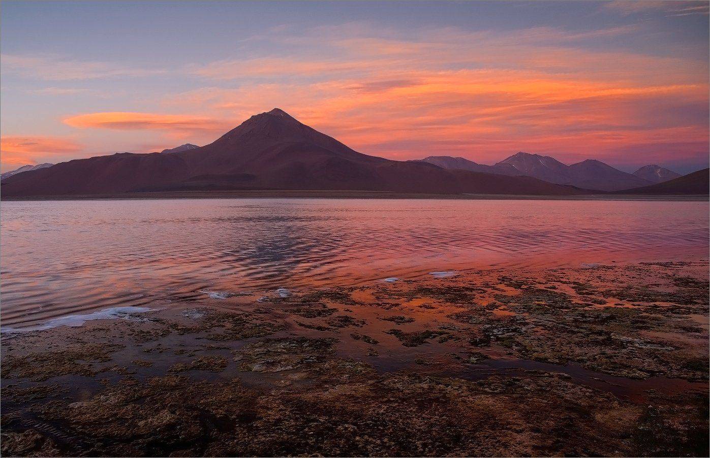 , Алексеевич