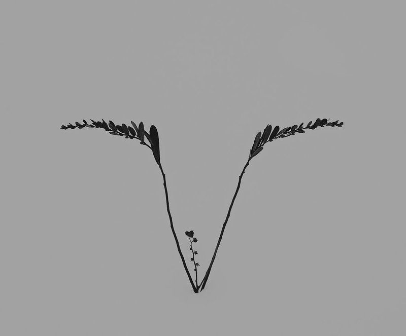 Sleeping фото превью