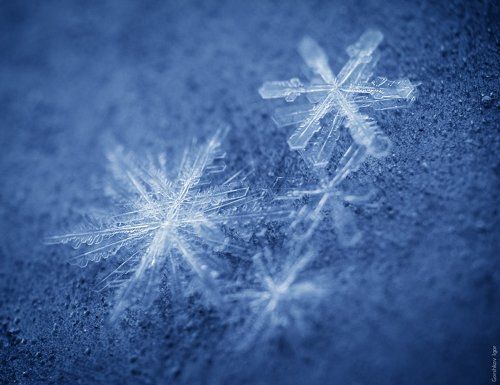 Снежинки