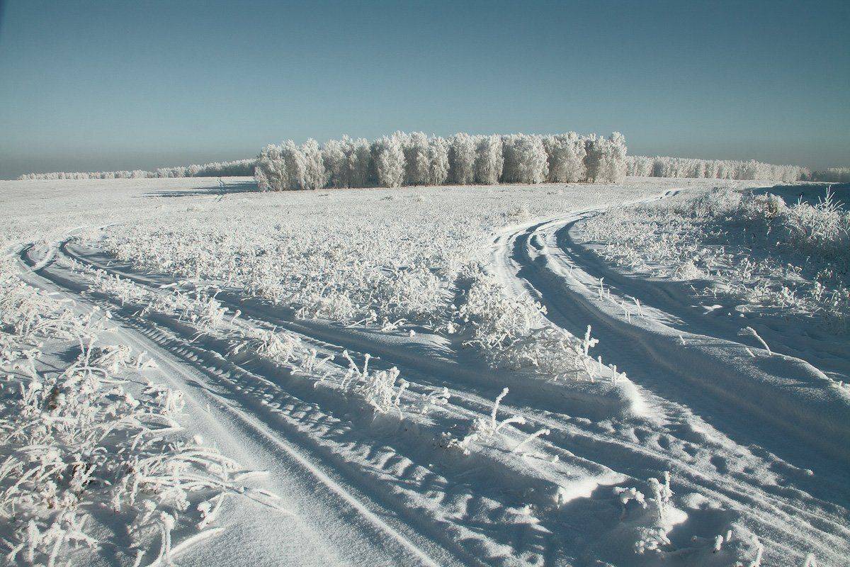 , Николай Морский