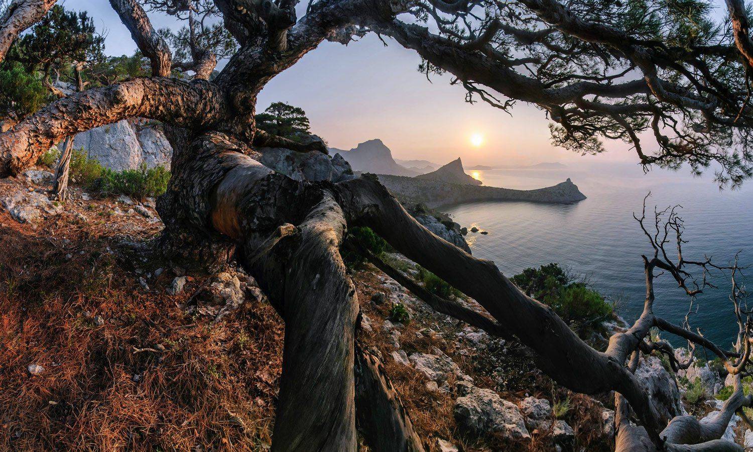 , Маркович Михаил