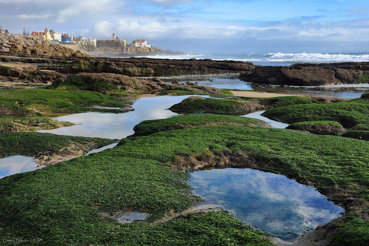 , Дмитрий Бакулин