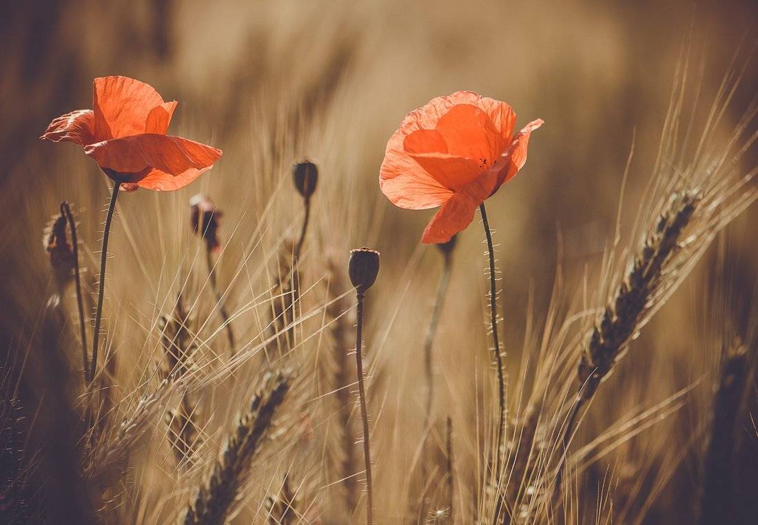 , Татьяна Аверина