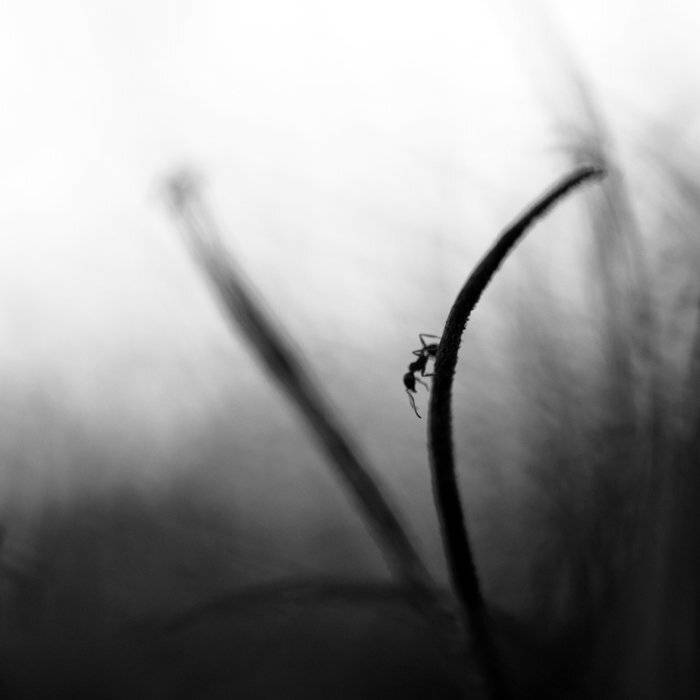 , Татьяна Аверина