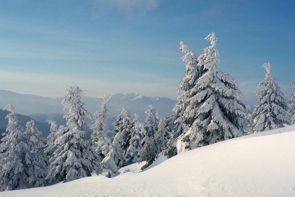 , Виталий Ра