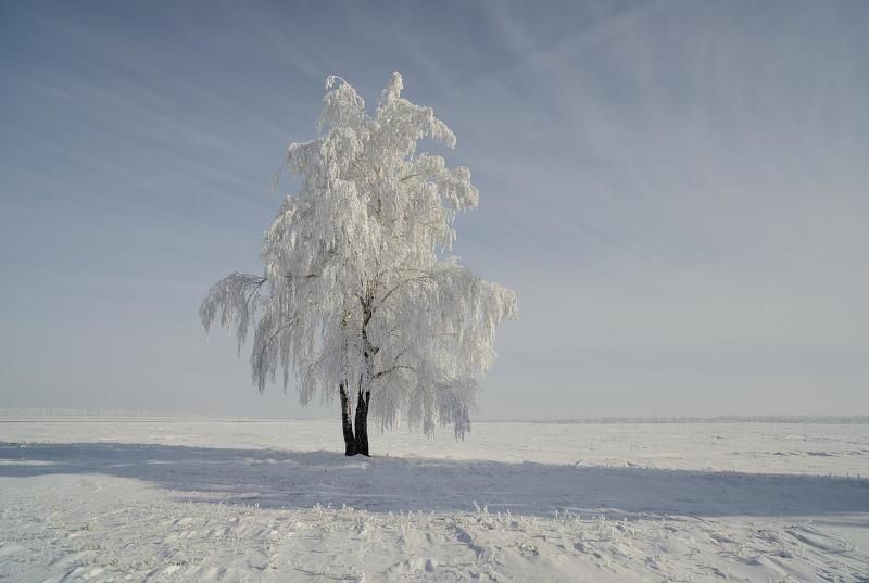 Белые одежды... фото превью
