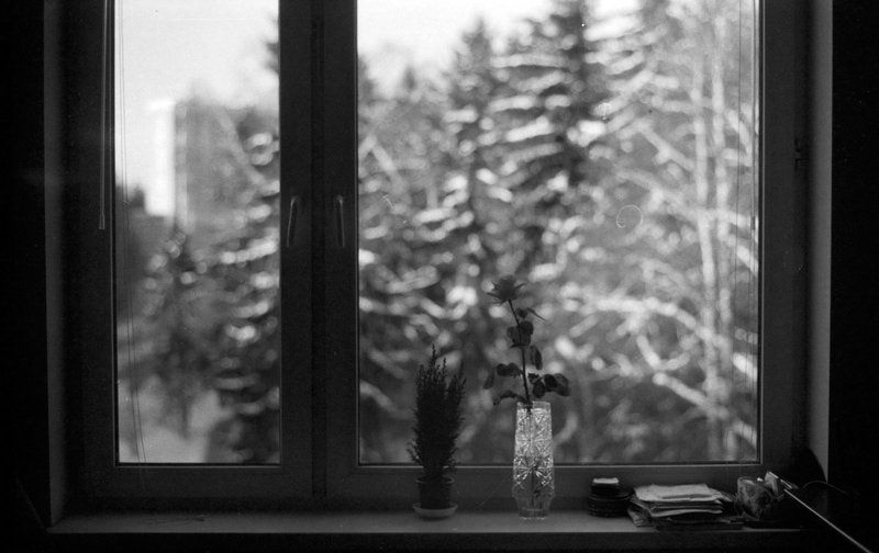 tarbeev Зимний день фото превью