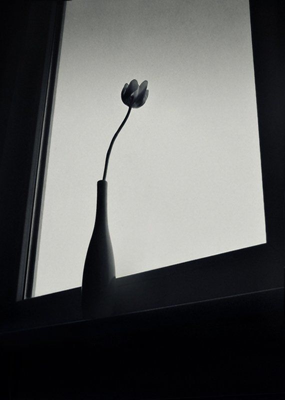 Simplicity фото превью