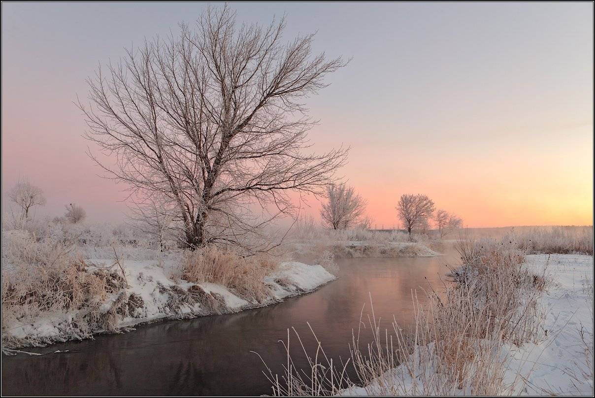 , Михаил (mgk)