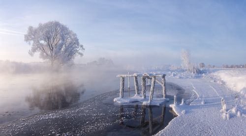 Фрагменты зимнего утра