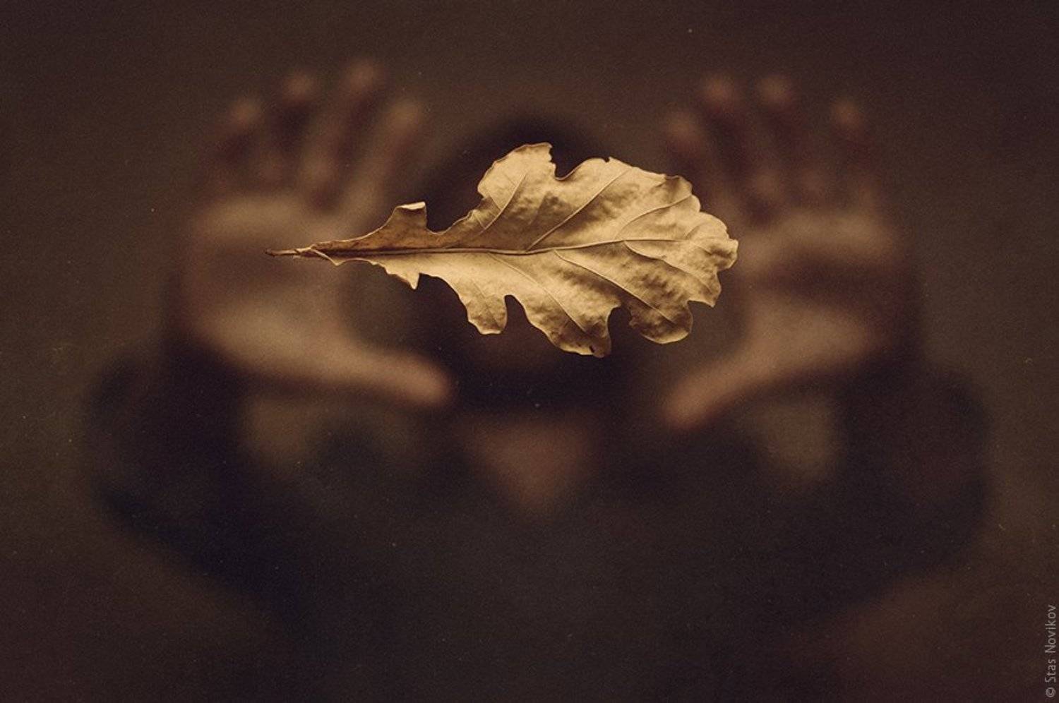 , Станислав Новиков