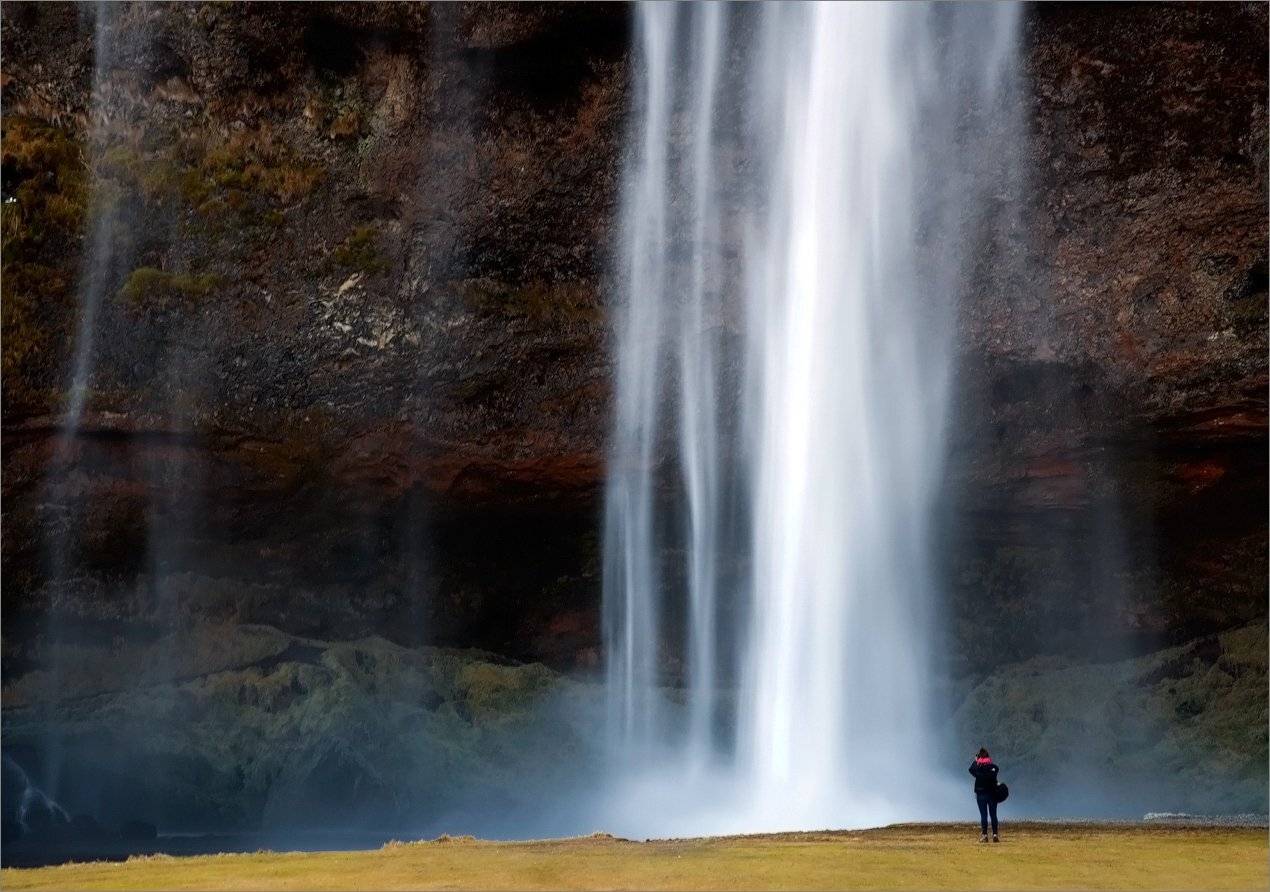 , Алексеевич