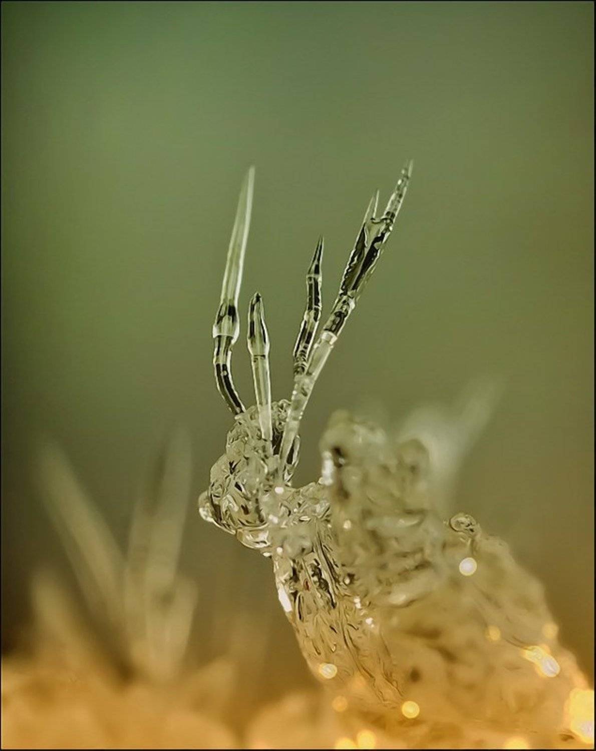 , Андрей Осокин