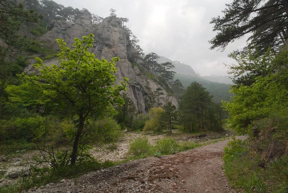 , Саша  Вайсберг / Waldschnepfe /