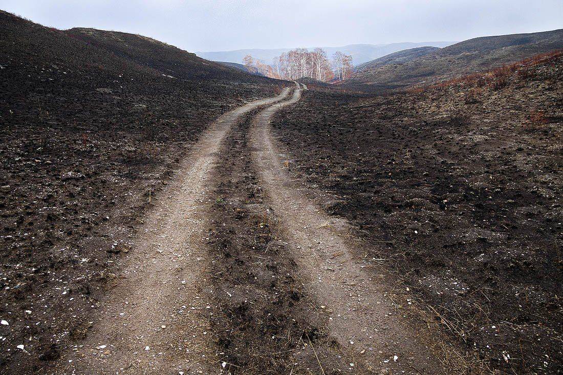 , Качурин Алексей