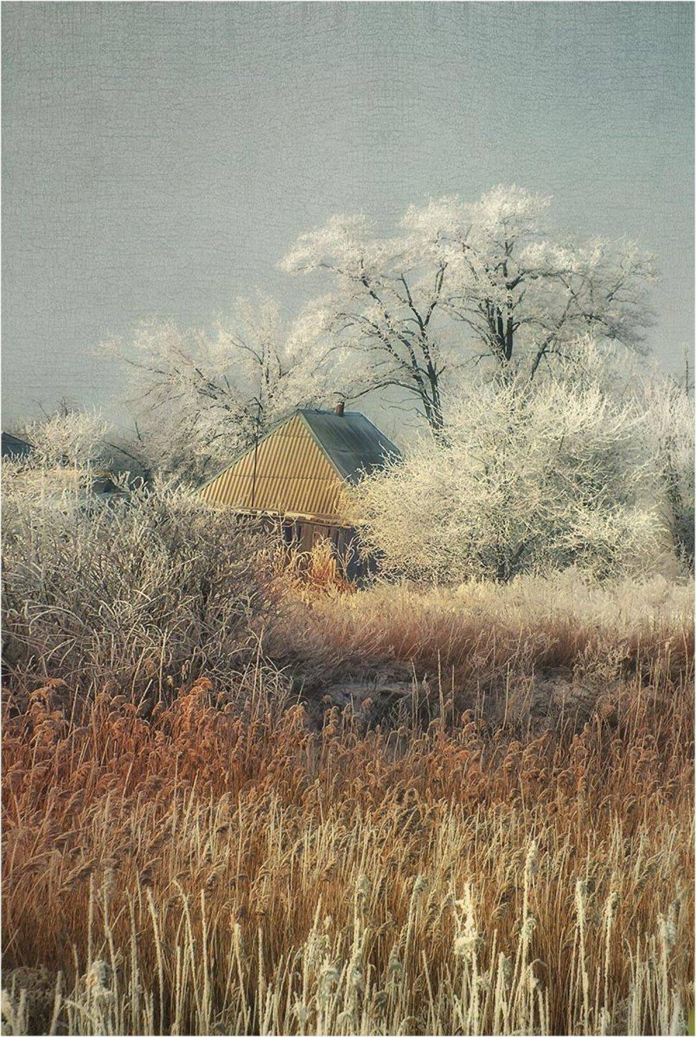 , Радковская Наталья