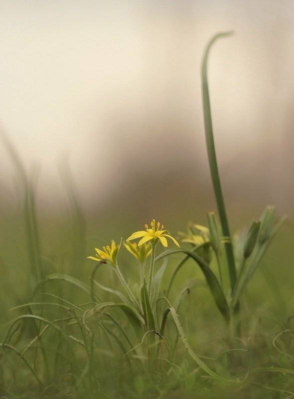 , Александр