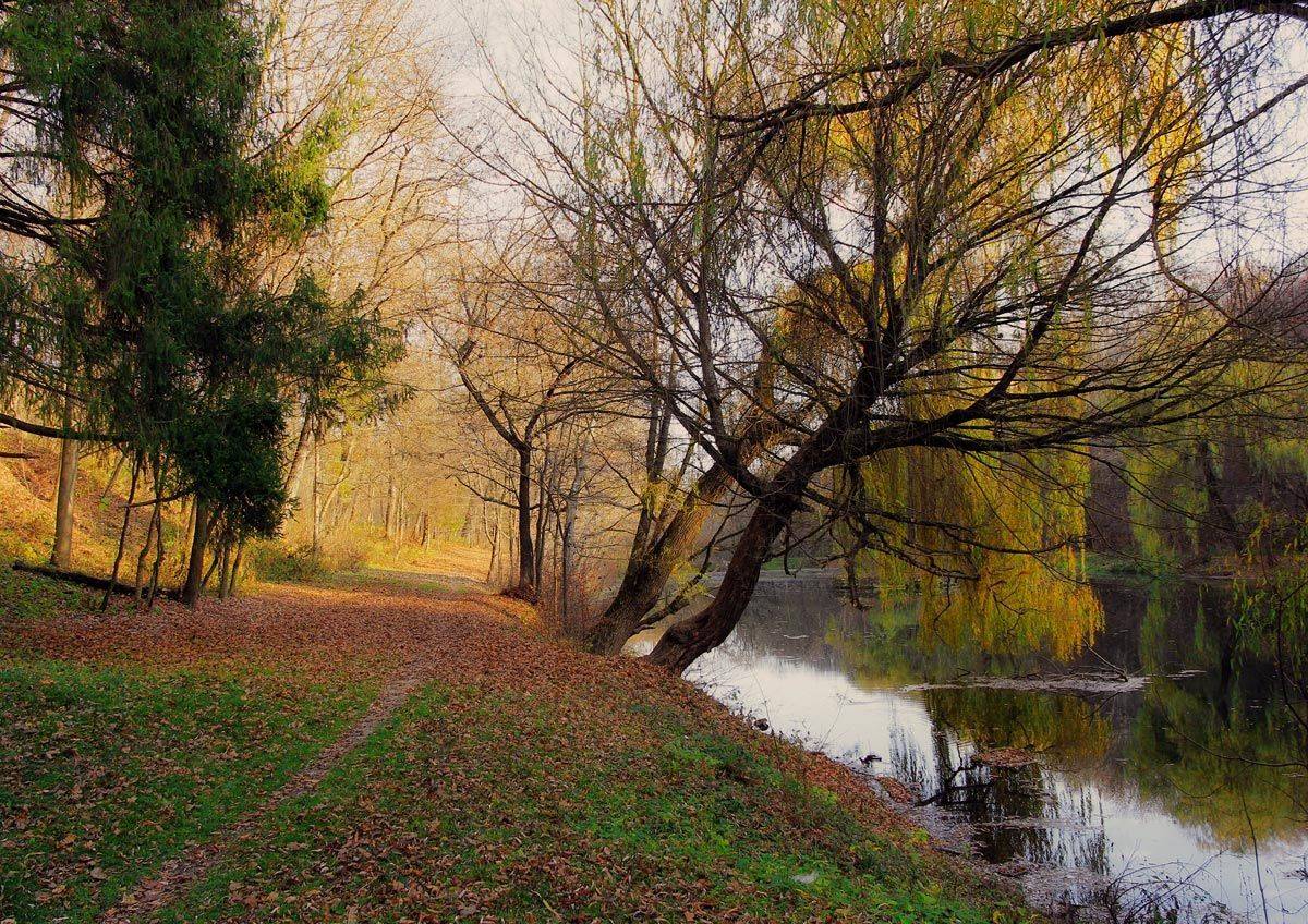 , Киливник Наталия(Metron)