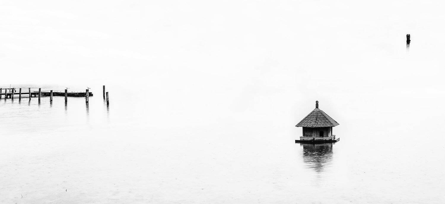 , Игорь Дубровский