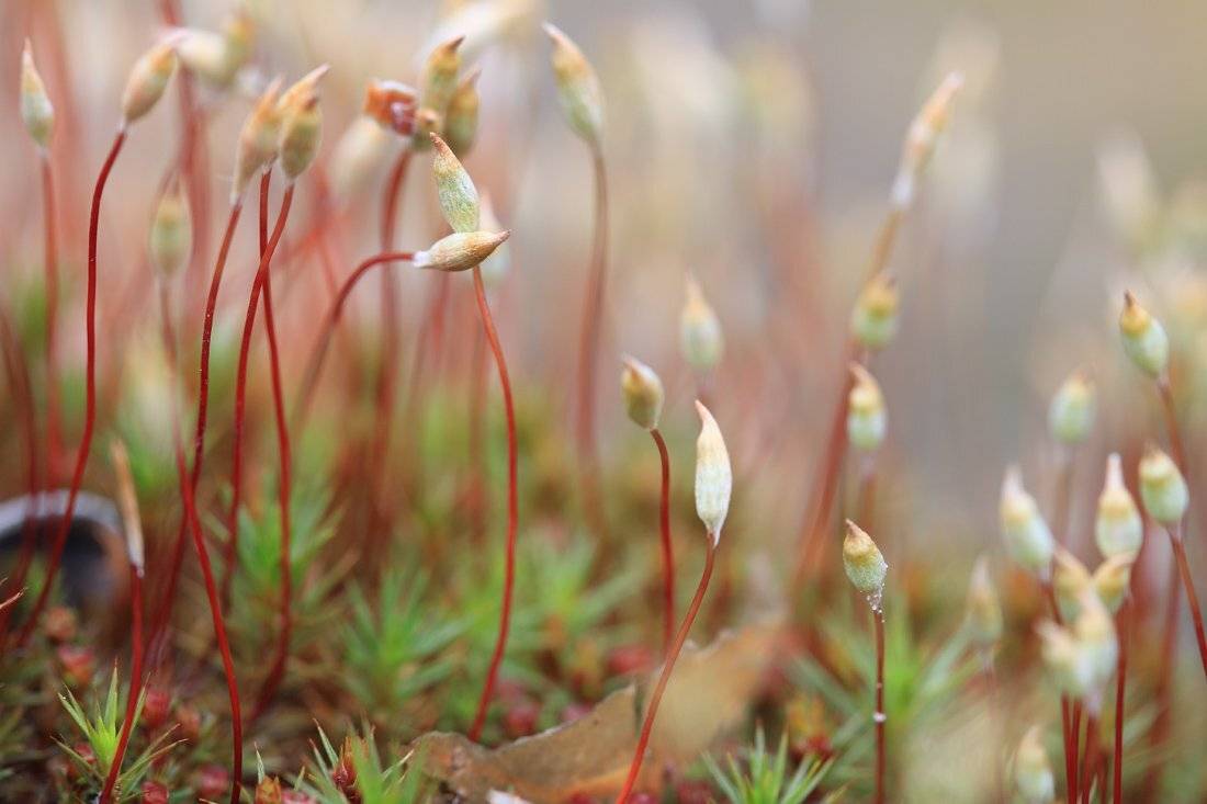 , Сергей Кузнецов