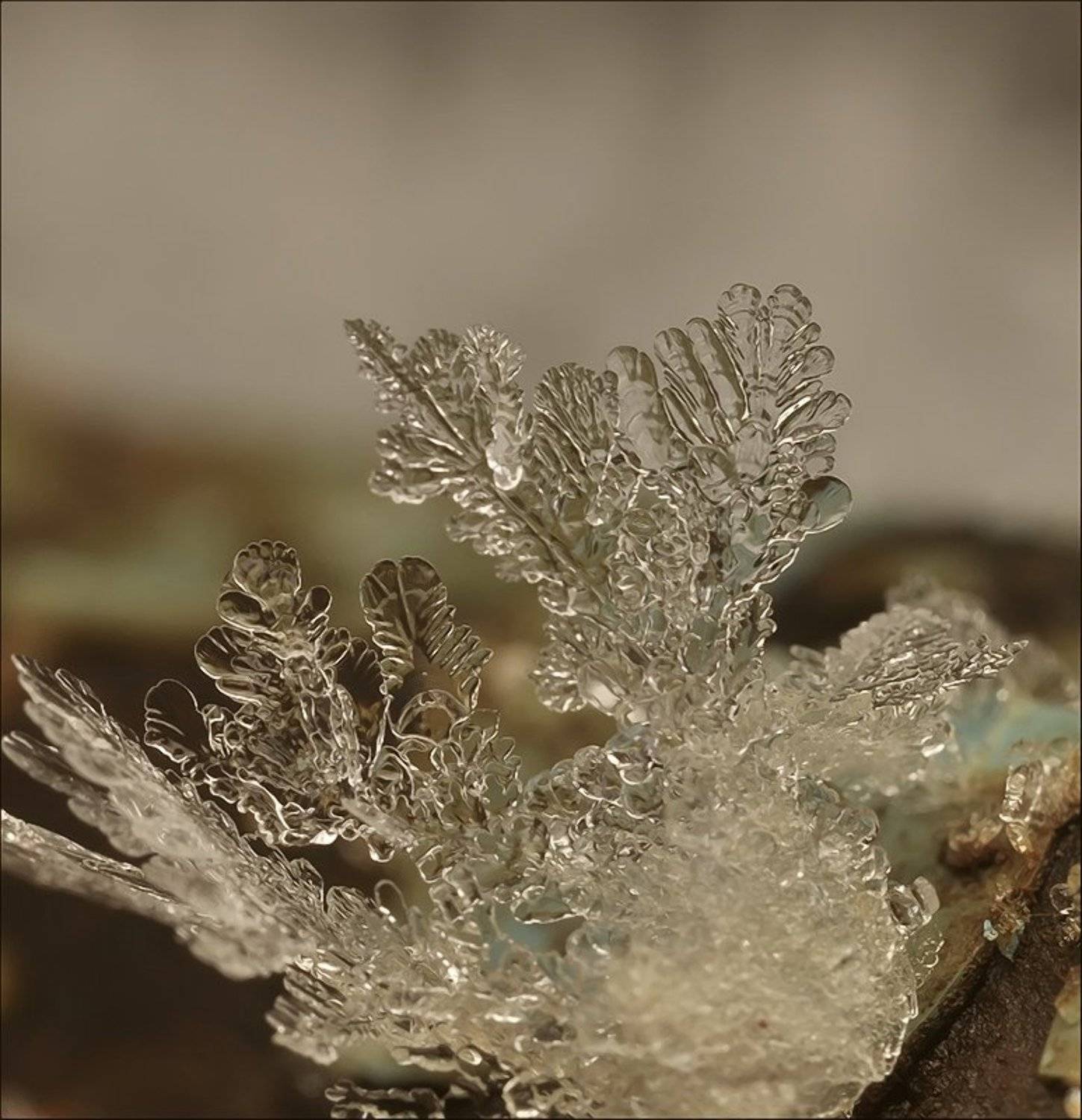 , Андрей Осокин