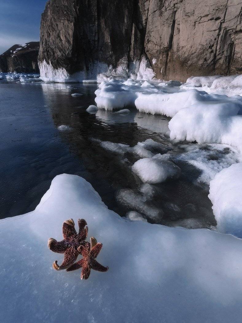 , Андрей Кровлин