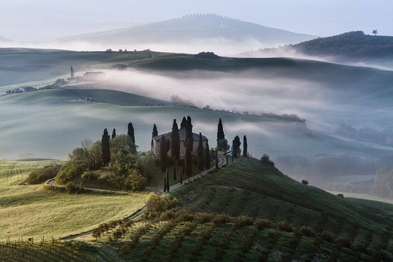 тоскана, бельведер, рассвет, туман, Марина Маликова