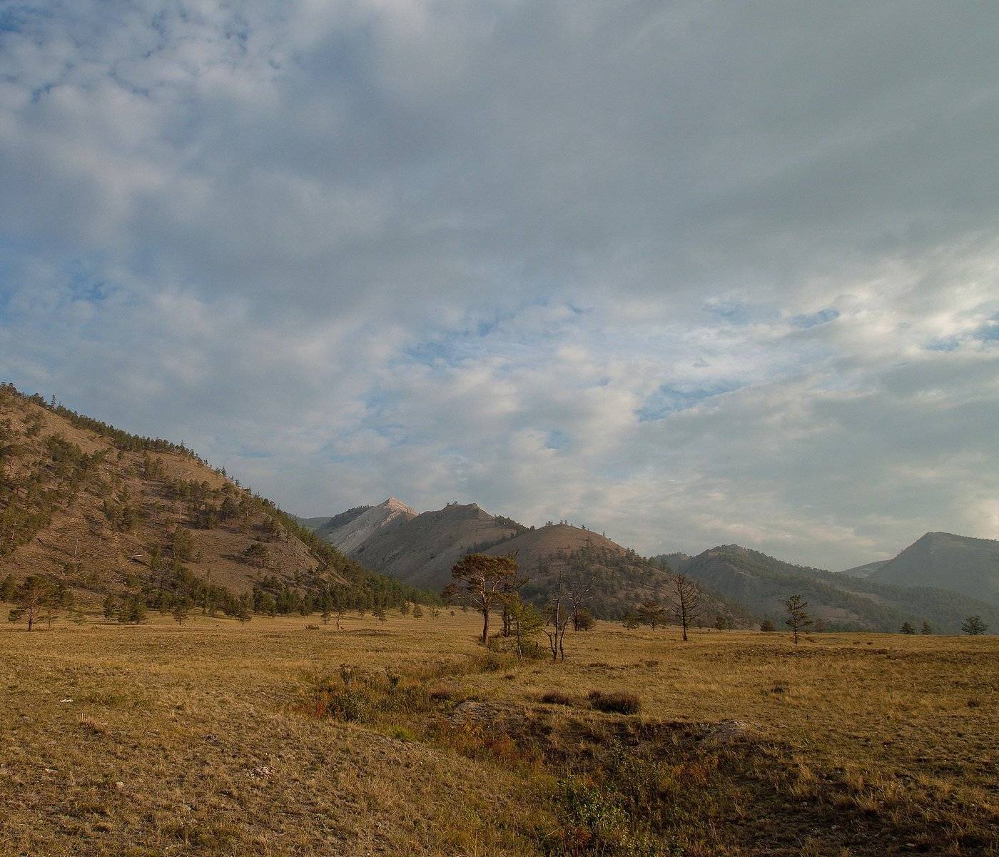 , Алексей Трофимов