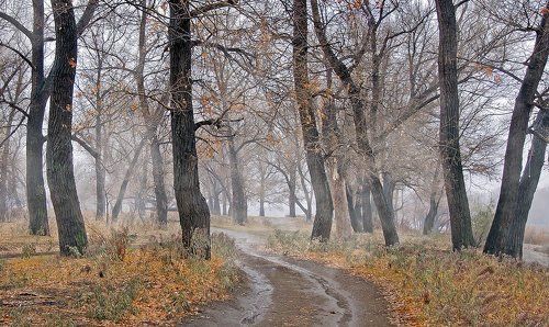 Осенний воздух в лесу...